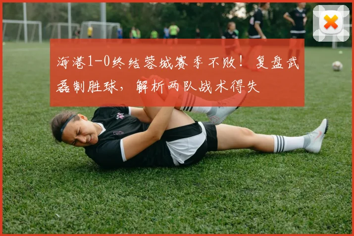 海港1-0终结蓉城赛季不败!复盘武磊制胜球,解析两队战术得失